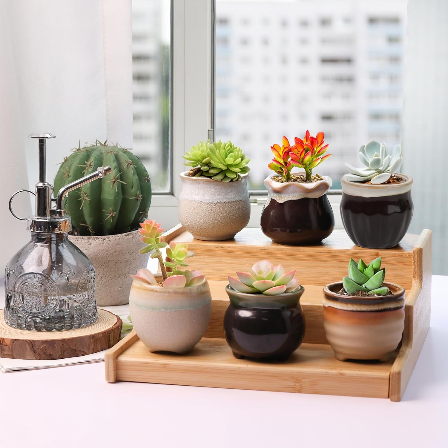 Small Ceramic Succulent Pots with Drainage Set of 12, Mini Pots for Plants, Succulent Plant Gifts for Women, Tiny Air Plant Flower Pots Cactus Faux Plants Containers, Home and Office Decor