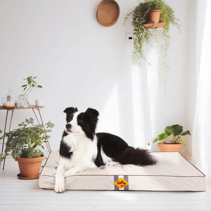 Laifug DreamWeaver: The Waterproof Orthopedic Dog Bed for Ultimate Comfort - Universal Found