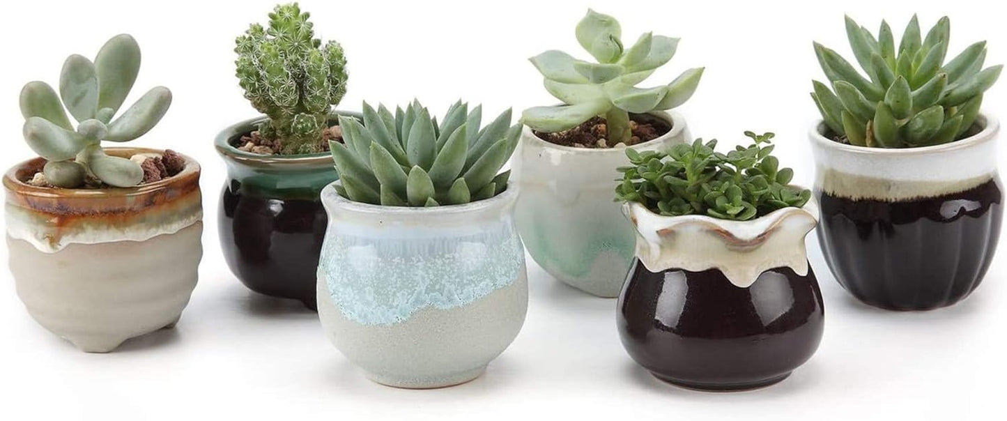 Small Ceramic Succulent Pots with Drainage Set of 12, Mini Pots for Plants, Succulent Plant Gifts for Women, Tiny Air Plant Flower Pots Cactus Faux Plants Containers, Home and Office Decor