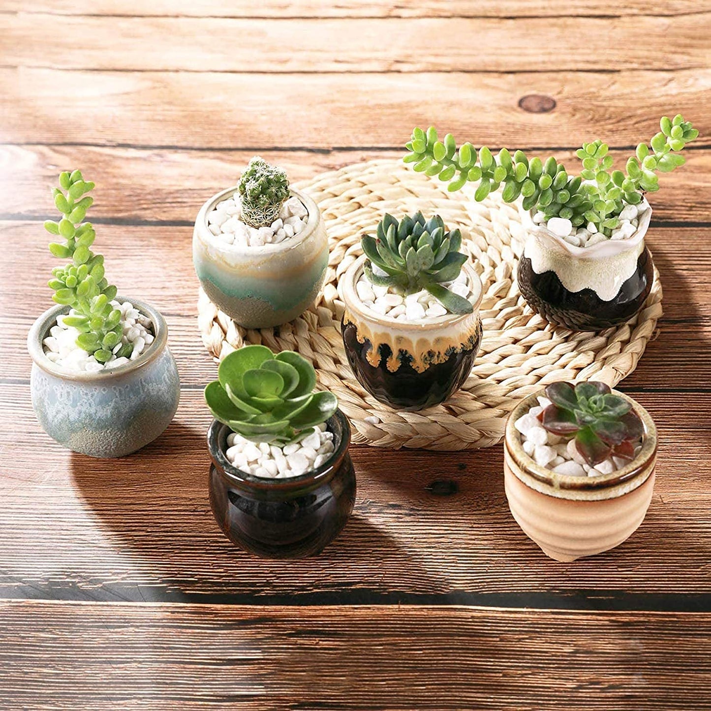 Small Ceramic Succulent Pots with Drainage Set of 12, Mini Pots for Plants, Succulent Plant Gifts for Women, Tiny Air Plant Flower Pots Cactus Faux Plants Containers, Home and Office Decor