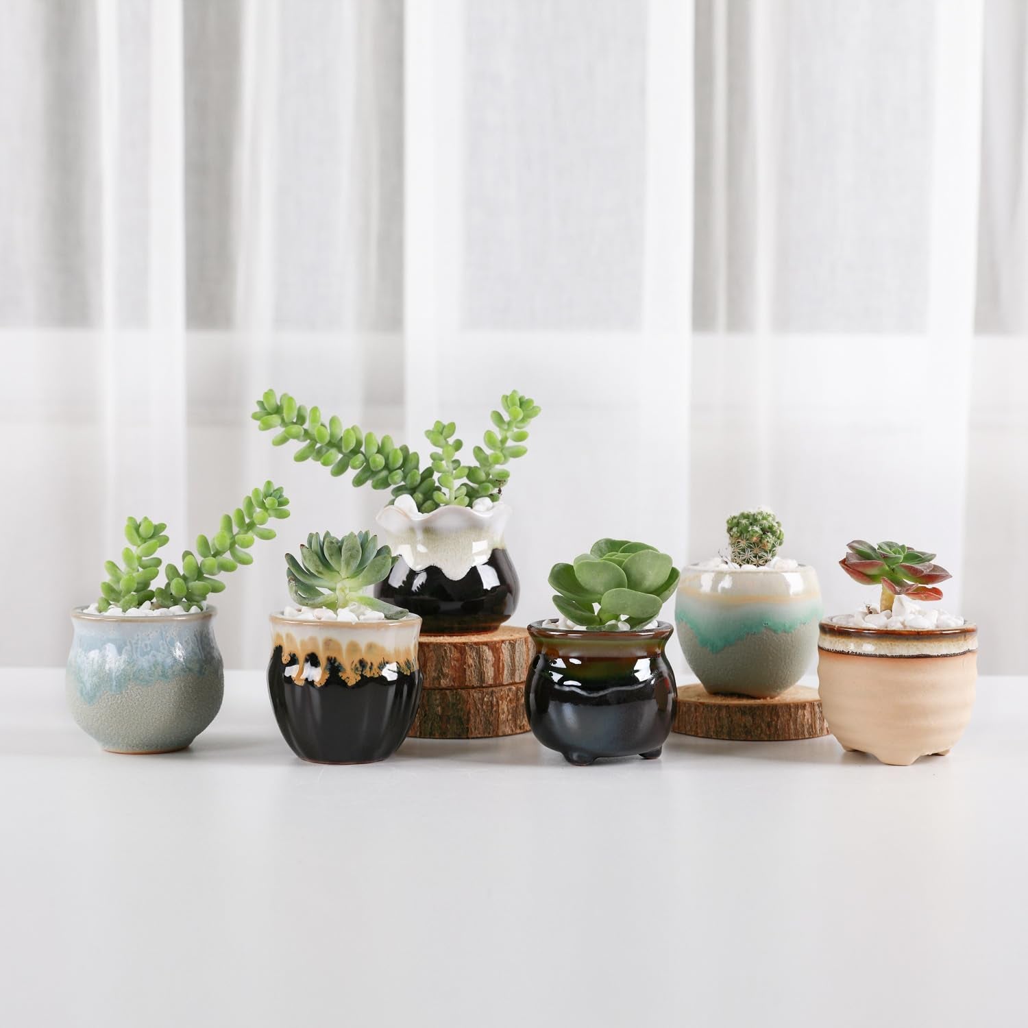 Small Ceramic Succulent Pots with Drainage Set of 12, Mini Pots for Plants, Succulent Plant Gifts for Women, Tiny Air Plant Flower Pots Cactus Faux Plants Containers, Home and Office Decor