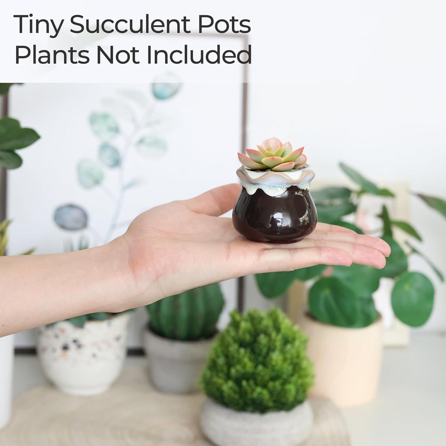 Small Ceramic Succulent Pots with Drainage Set of 12, Mini Pots for Plants, Succulent Plant Gifts for Women, Tiny Air Plant Flower Pots Cactus Faux Plants Containers, Home and Office Decor