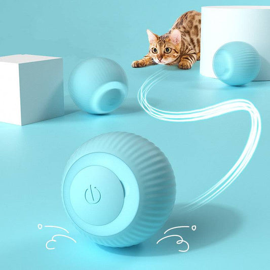 Kitty Whirlwind: The Self-Rolling, Light-Up Ball That Keeps Your Cat on Its Toes - Universal Found