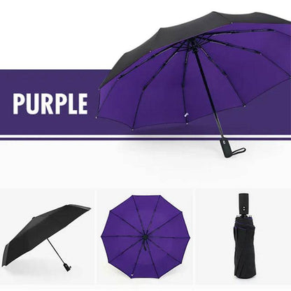 Double Layer Automatic Windproof Umbrella - The Weather Warrior - Universal Found